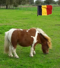 Holly Van De Hutte